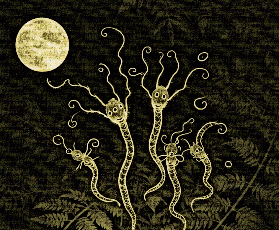 Ilustración de los Mengues